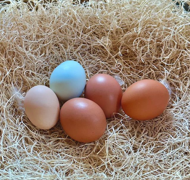 Fresh Farm Eggs - Dozen (Pre-Order, Limited)