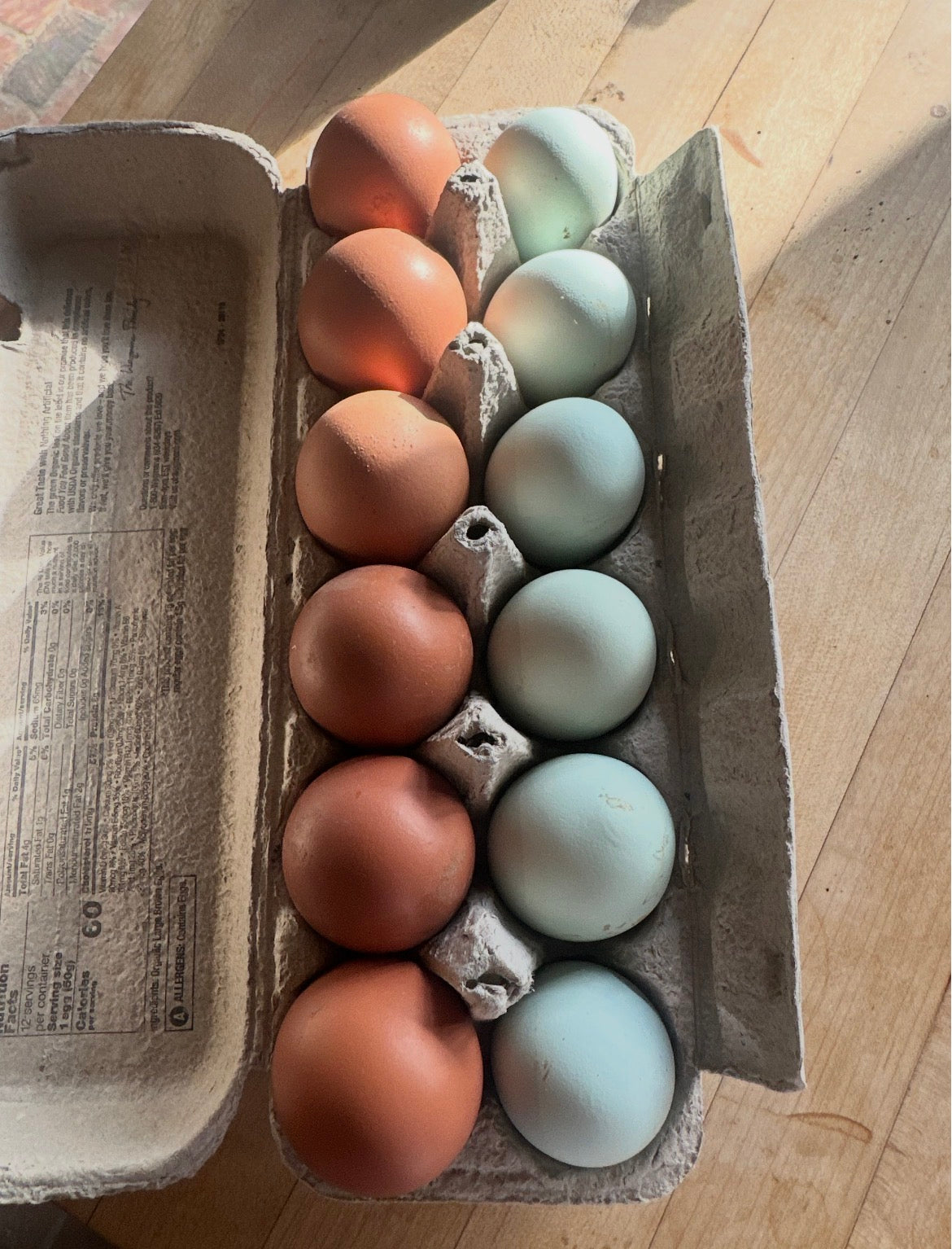 Fresh Farm Eggs - Dozen (Pre-Order, Limited)